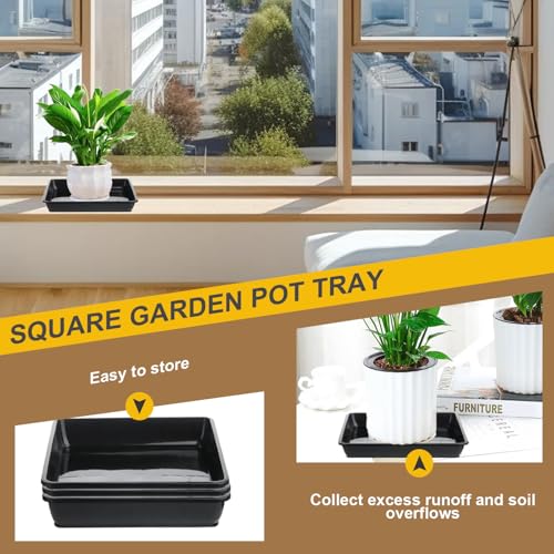 Plateau d'eau de plante pour protéger vos sols intérieurs et extérieurs - 6