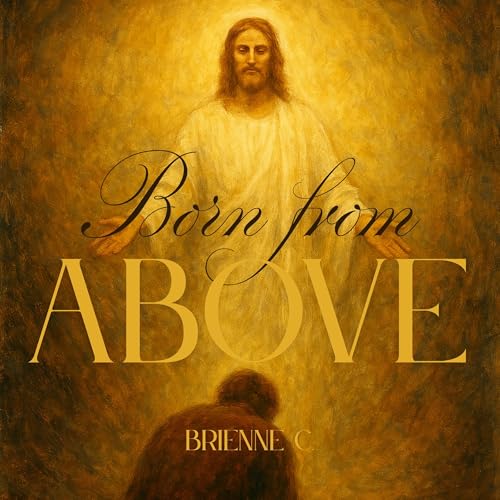 Born from Above Audiolivro Por Brienne C. capa