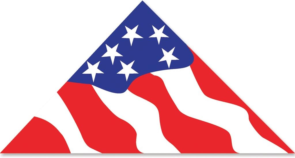 11ft. Patriotic Delta Kite