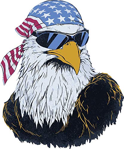 Eagle Patriot Vinyl Decal Wall Laptop Bumper Sticker 5