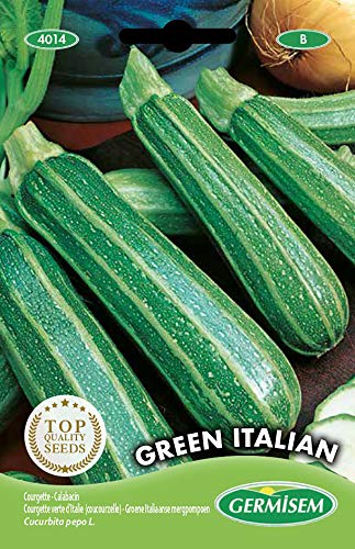 Germisem graines Courgette verte d'Italie (coucourzelle) GREEN ITALIAN
