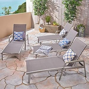 Christopher Knight Home Joy Outdoor Mesh and Aluminum Chaise Lounge (Set of 4), Gray Christopher Knight Home Joy Outdoor Mesh and Aluminum Chaise Lounge Set of 4 Gray