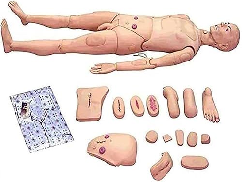 Maniquí de entrenamiento multifuncional para pacientes masculino y femenino, modelo anatómico humano para entrenamiento de enfermería