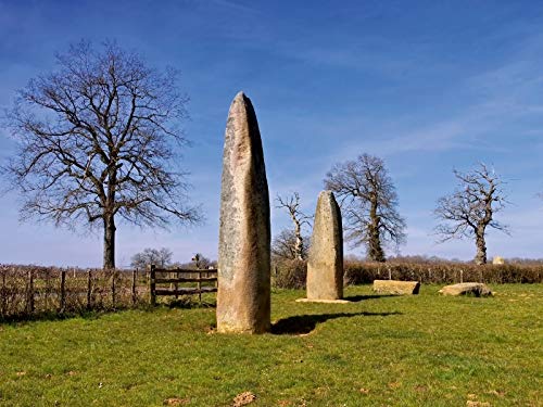 Menhirs d'Époigny - Puzzle da 1000 pezzi CALVENDO...