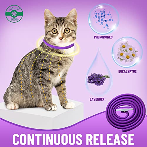 VICSOM-Cat-Calming-Collar-Calming-Collar-for-Cats-Calming-Cat-Collar-Pheromone-Anti-Anxiety-Adjustable-Waterproof-Cat-Collar-Natural-Calm-Treatment-for-Small-Medium-and-Large-Cats-2pcs-188In