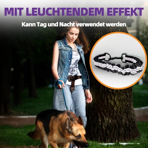 Elastische Hundeleine Ruckdämpfer für Hunde Leine - Nylon-Kurzleine mit Reflektorgarn, Dämpfung beim Fahrradfahren, für mittlere und große Hunde (2.5 * 42cm)