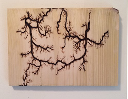 Imagesco - Etched Lightning (Tm) Captured In Wood. Branching High Voltage Electrical Discharge Creates One-Of-A-Kind Lichtenberg Figure Artwork Of Elegant Bonsai Style Zen Patterns Burned Into Wood. #TOP4