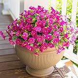HyeFlora