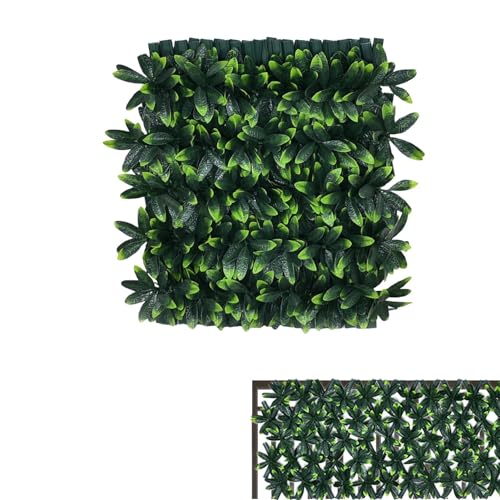 Pannelli a reticolo – Traliccio espandibile per piante da giardino, parete di sfondo verde | graticcio da giardino espandibile, telaio a reticolo, pannello di recinzione a reticolo di salice, parete