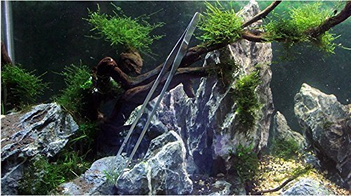 Co-Link 3 In 1 Stainless Steel Aquarium Tank Aquatic Plant Tweezers Scissors Tools For Decoration Of Your Aquarium Plants #TOP6