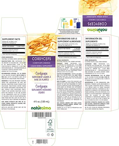 Naturalma Chaga Cordyceps Reishi Shiitake Lion’s Mane | Bundle 4 Fl Oz Liquid | Mushroom Alcohol-Free Tincture | Herbal Supplement | Vegan | Product Of Italy #TOP2