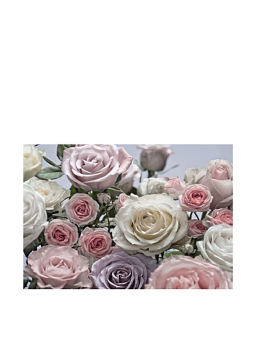 Komar 8-736 Floraison Wall Mural, Pink -  Brewster Home Fashions