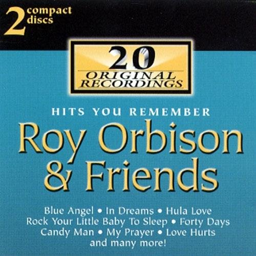 Hits You Remember [Audio CD]