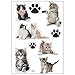 Foglio A4 di adesivi Gattini Adesivo Scrapbooking – B12
