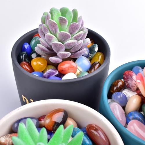 Image of Ocean Jasper Healing Crystal Stone Set - 24 Pieces, 0.6 inch Natural & Polished Stones for Healing, Meditation, Reiki, Chakra, Crafting & Decoration