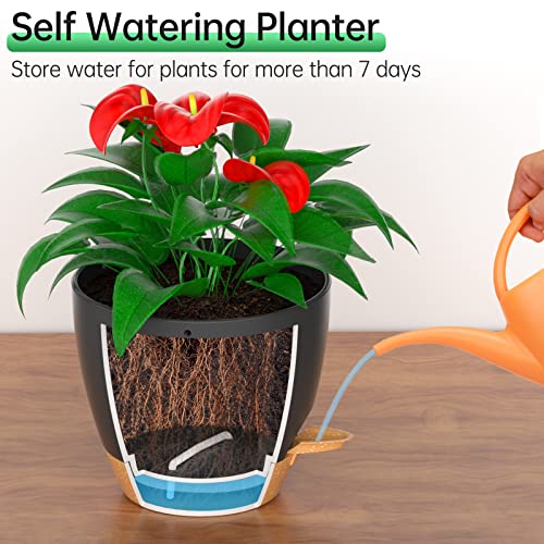 ZMTECH 20cm Hanging Planters with Watering Inlet 8 Inch Self Watering Plant Pot with Drainage Holes and Removable Saucer Plastic Flower Pot for Indoor Outdoor Plants (Black) - Image 4