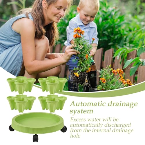 Affichage vertical d'accessoires de jardinage pour petit balcon