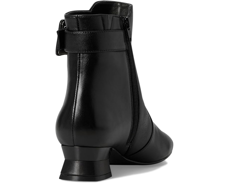 Vaneli Pierot - Back View