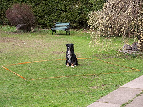 NATIV Obedience Set, Trainings-Set für Hunde, Agility-Set, Hundesport