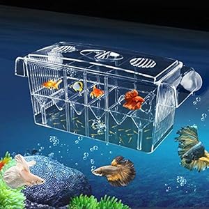 Aquarium opbergbak vis isolatie box kweekbak klein groot multifonctionnel transparant Boîte nidification Poissons auto…