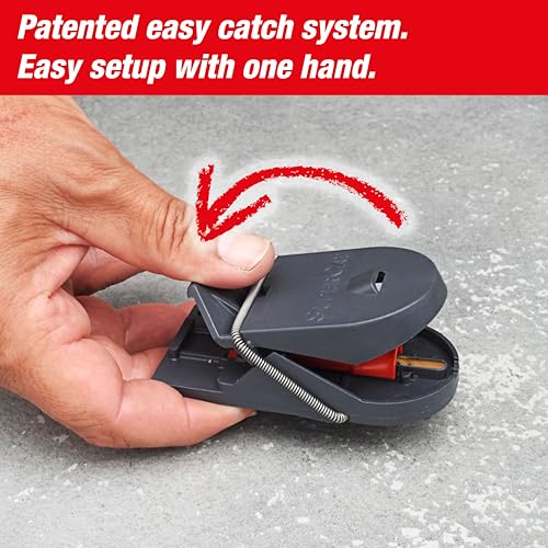 SWISSINNO Trappola per Topi PRO SuperCat. Efficiente, umana e riutilizzabile con esche. Cattura e Uccide all'istante. Sicura, No colpi a vuoto. Prodotta in UE: 2 trappole SWISSINNO Trappola per Topi PRO SuperCat. Efficiente, umana e riutilizzabile con esche. Cattura e Uccide all'istante. Sicura, No colpi a vuoto. Prodotta in UE: 2 trappole