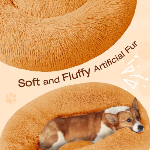 Image of JOLLYVOGUE Dog Bed, Calming Anti-Anxiety Large Dog Bed, Fluffy Donut Cushion for Medium and Large Pets (27 inch /30 inch /36 inch)