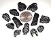 12pc Set Indochinites Black Tektites Small Meteorite Material Natural Specimens from Vietnam