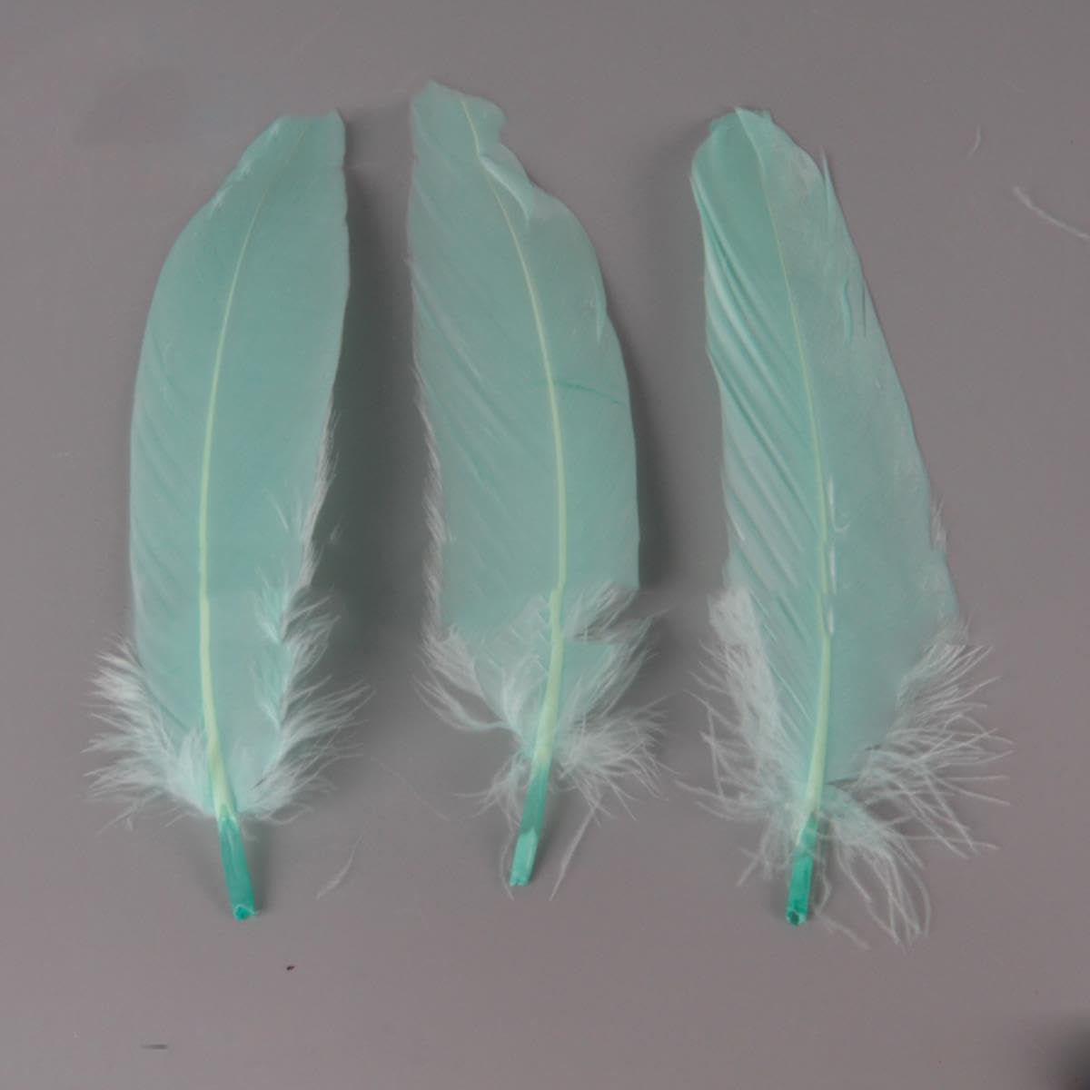 50 Stück Weiße Gänsefedern Natur – Ca. 15-20 Cm Lang, Für DIY, Hochzeitsdekoration & Basteln