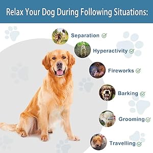 Calming Chews for Dogs Organic Hemp Dog Relaxing Treats for Anti Anxiety Stress Bites Car Sickness Pain Relief Separation Ease Puppies Soft Chews Canine Pup Calm Care Health Treatment Supplies  Cucciolini Doodles Calming chews for dogs organic hemp dog relaxing treats for anti anxiety stress bites car sickness pain relief separation ease puppies soft chews canine pup calm care health treatment supplies   cucciolini doodles