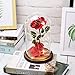 URBANSEASONS Beauty and The Beast Rose, Light Up Forever Roses Birthday Gifts for Women Mom Grandma, Red Rose Gift for Her Valentine Mothers Anniversary