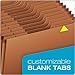 Globe Weis Globe-Weis/Pendaflex Heavy Duty 31-Pocket Expanding File with Flap, 1-31 Index, Letter Size, Brown, (R117DLHD)