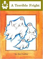 A Terrible Fright 1559114878 Book Cover