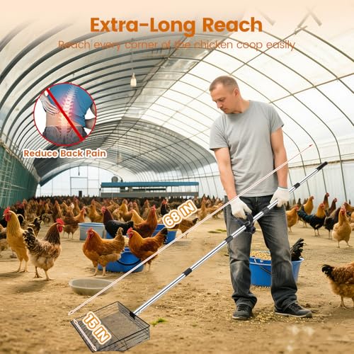 Image of 15 inch Extra Large Chicken Poop Scooper with Ergonomic Grip,5-in-1 Heavy Duty Adjustable Coop Scoop for Poop (24 to 68 inch), Stainless Steel Sifting Litter Shovel Scoop for Chicken Coop