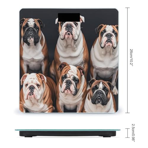 Báscula Digital Para Baño English Bulldogs Precisa miniatura 2