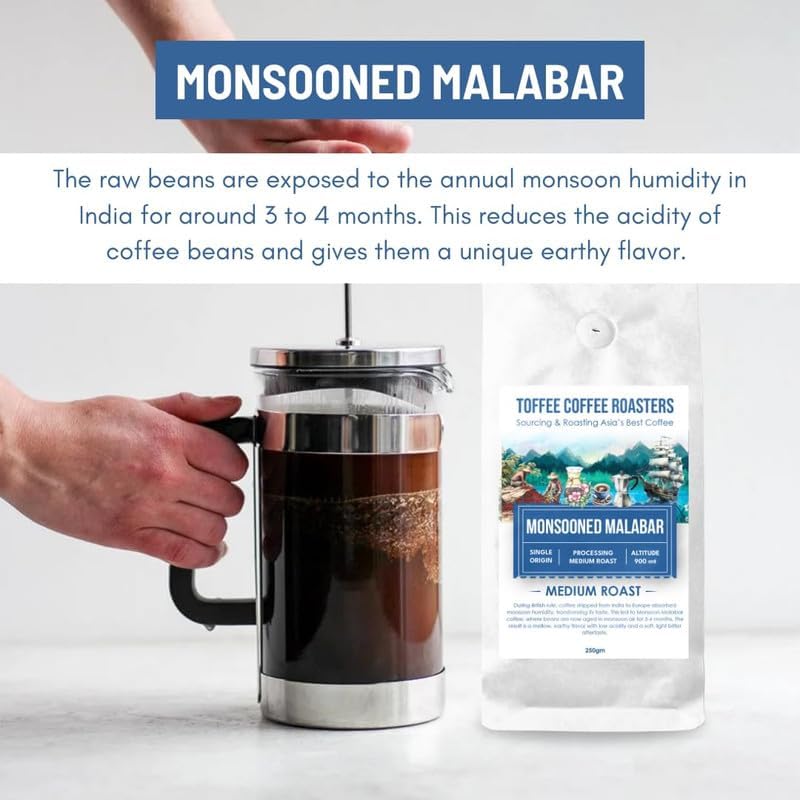 Image of Toffee Coffee Roasters | Monsooned Malabar, Light to medium Roast, 250 g | Grind: Coffee Filter, Single Origin, 100% Arabica | Speciality Coffee | Freshly Roasted