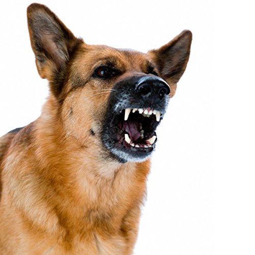 kh security Elektronsicher Wachhund, 100146