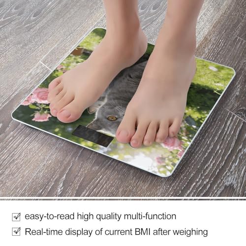 Báscula digital de baño con pantalla LED y plataforma de vidrio templado miniatura 5