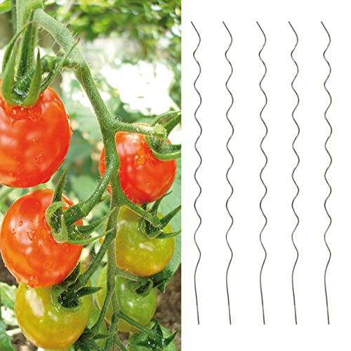 5er Set Tomatenspiralstäbe Rankhilfe 110 cm Tomaten Pflanzstäbe Spiralstäbe aus verzinktem Stahl Rankspirale Tomatenstäbe Rankstäbe