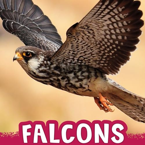 Falcons by Jaclyn Jaycox episode artwork