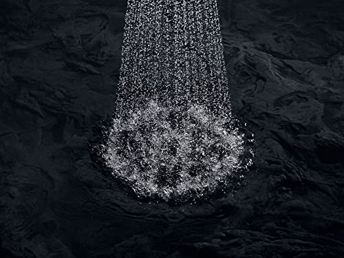 Kohler K-15996-Cp Flipside 2.5 Gpm Multifunction Wall-Mount Showerhead, Polished Chrome #TOP2