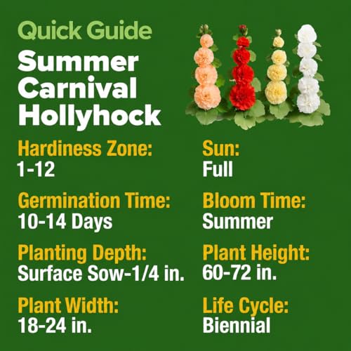 Image of HOME GROWN Hollyhock Summer Carnival Mix Flower Seeds - Alcea Rosea, Premium Annual Flower Seeds, 1000 Seeds for Planting Flowers, High-Germination Flower Seed Bulk Pack