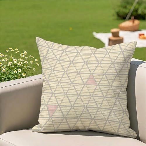 �N�b�V�����J�o�[�x�[�W���h�� ���O 1���Z�b�g 50x50 cm ���l�� ���ʈ�� ���� ���O�p �N�b�V���� �P�[�X ���� �O ���p �A�E�g�h�A �L�����v �x�����_ �� �e���X �\�t�@�[�p (�􉽊w) 3Z-197