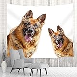 5. Tipp: Aus Transportgr¨¹nden kann dieses Produkt einige Falten aufweisen. Es wird empfohlen, es nach dem manuellen Waschen mit einem B¨¹geleisen zu b¨¹geln. Verpflichtung: Wenn das Produkt Qualit?tsprobleme aufweist, k?nnen Sie sich gerne an uns wenden. Wir helfen Ihnen, das Problem so schnell wie m?glich zu l?sen