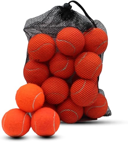 Magicorange 20 pelotas de tenis de entrenamiento avanzado, pelotas de entrenamiento, pelotas de entrenamiento para perros y mascotas, vienen con bolsa de malla para facilitar el transporte (naranja)