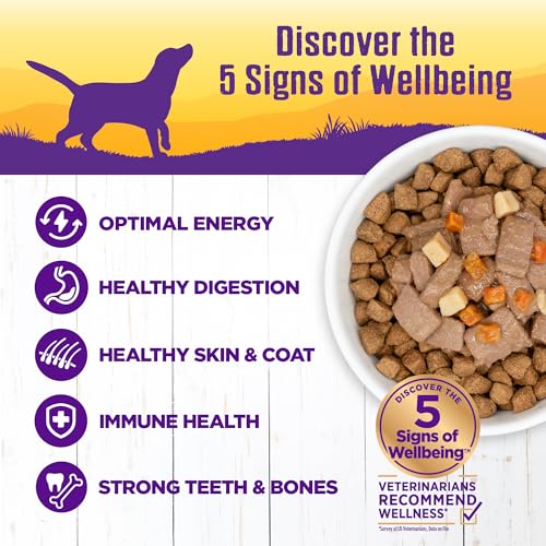 Image of Wellness Complete Health Stew Adult Canned Wet Dog Food, Grain Free, Natural, Venison and Salmon Recipe, 12.5 oz, Pack of 12 Cans