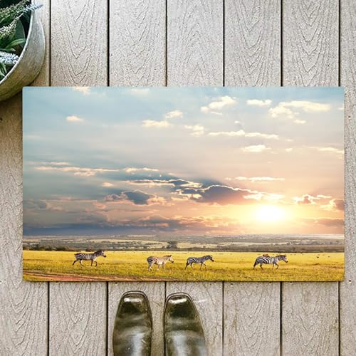 OHJEAJDS Tappeto Bagno - Tappeto multiuso antiscivolo per ingresso,cucina,camera,bagno,Soffice Tappeto Doccia,zebra,60x100cm