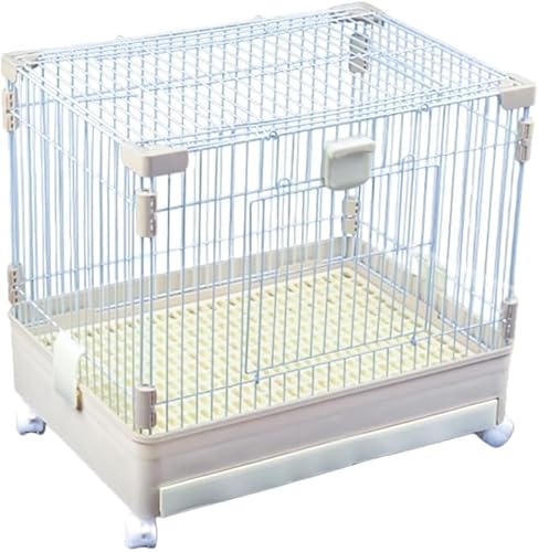 KryZaro2 i^ybgP[W ogCt X[vt EnX^[p p TCY