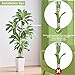 Artificial Dracaena Tree, 6FT Artificial Plants Indoor with White Tall Planter, Faux Yucca Silk Tree Fake Tropical Floor Plant in Pot, Fake Plants for Home House Room Office Entryway Porch Decor