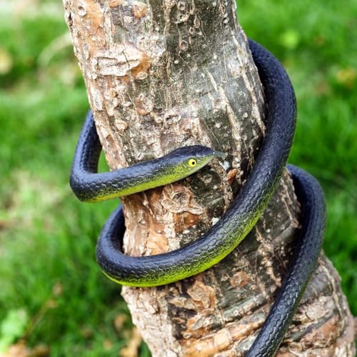 Image of Realistic Rubber Fake Snake Toy Garden Snake to Keep Birds Away Scare Squirrels Halloween Prank Props Scare Toy