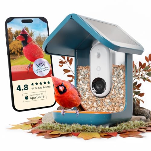 Birdbuddy PRO Solar Smart Bird Feeder with Camera - AI Bird Species Identification, 5MP Photos, 2K HD Video Live Stream Camera, Slow-Motion Video, 2.6in Focus - Blue Solar